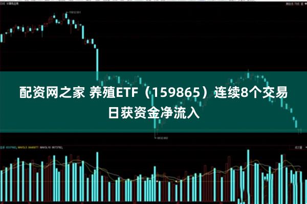 配资网之家 养殖ETF（159865）连续8个交易日获资金净流入