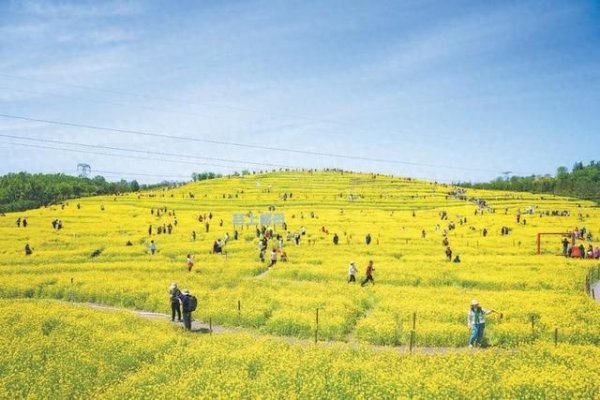 山西股票配资 在北京这座“千园之城”：公园里装着都市生活下半场