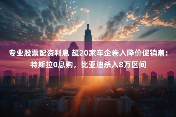 专业股票配资利息 超20家车企卷入降价促销潮：特斯拉0息购，比亚迪杀入8万区间